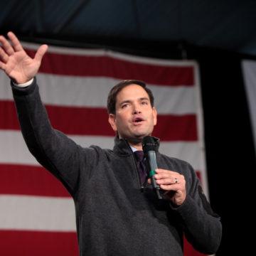 Rubio and Others Land in Hot Water After Zoom Meeting With Ukraine’s Zelenskyy